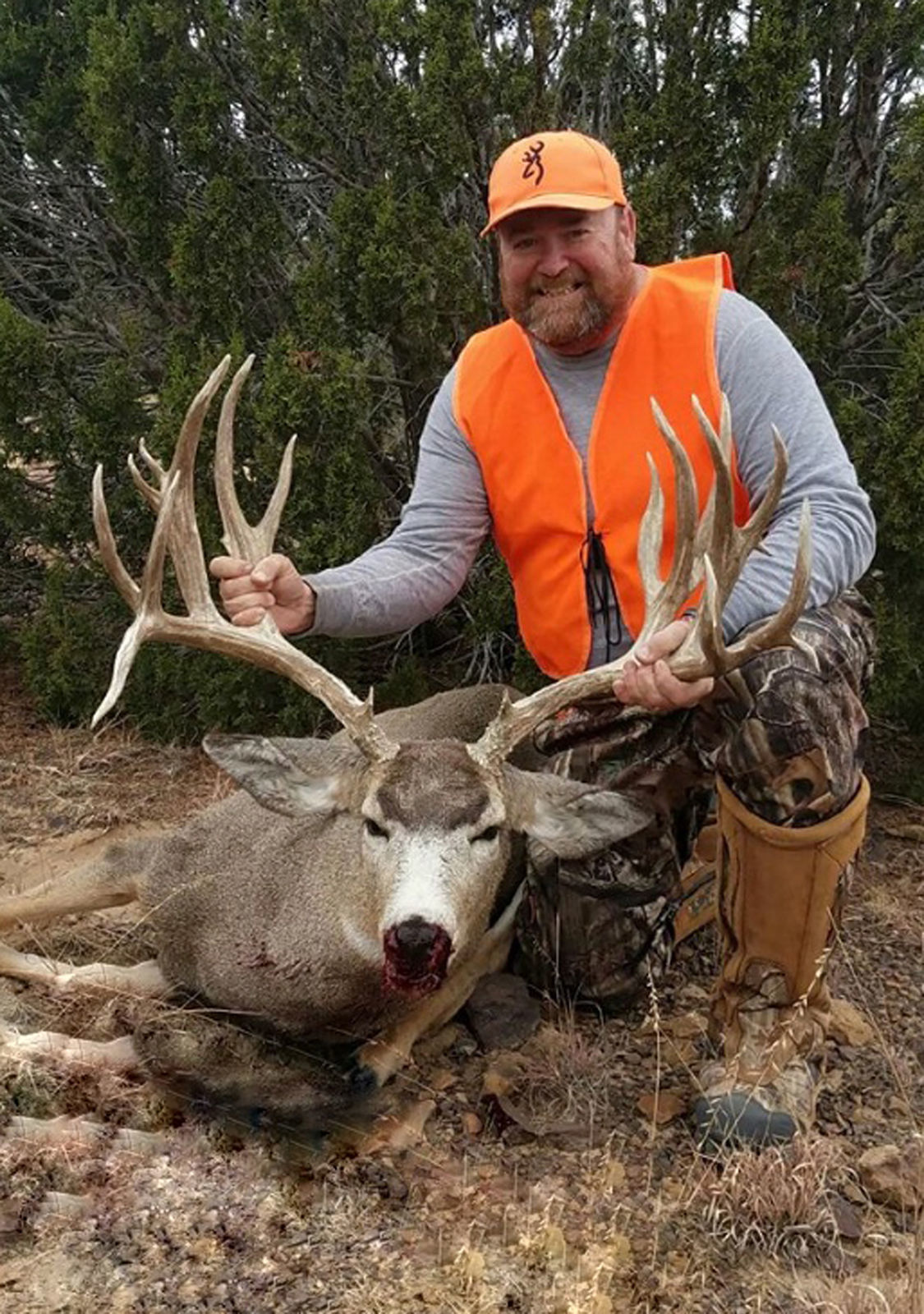 CY CURTIS NO. 1 NON-TYP MULE DEER
